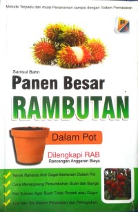 Panen Besar Rambutan dalam Pot