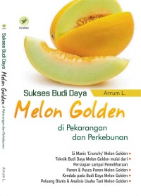 Sukses Budi Daya Melon Golden