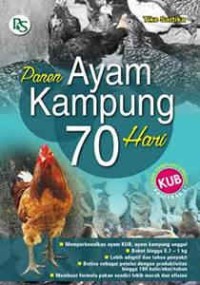 Panen Ayam Kampung 70 Hari
