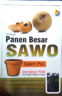 Panen Besar Sawo dalam Pot