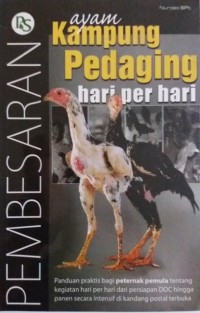 Pembesaran Ayam Kampung Pedaging Hari Per Hari
